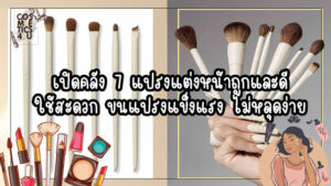 แปรง แต่งหน้า ถูก และ ดี