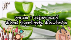 เจลว่านหางจระเข้