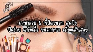 ที่ปัดขนตา