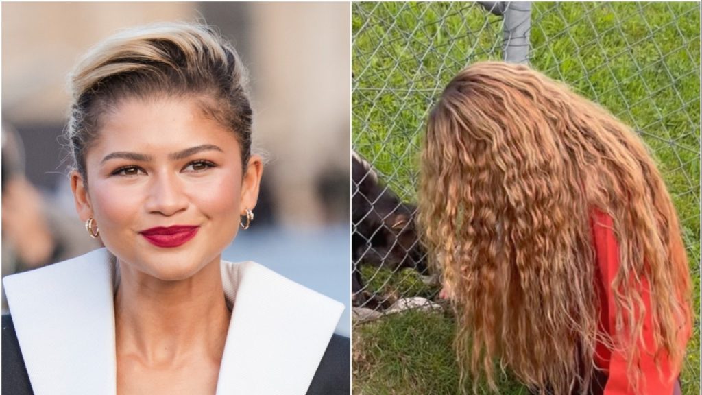 Zendaya’s Hair Is So Long and Curly in This Video That Fans Mistook Her for Shakira