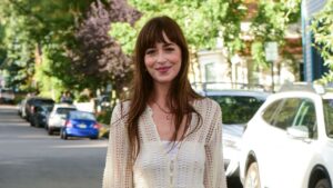 Dakota Johnson, เลิก, สไตล์, Goth Summer, ชุด, ชายหาด, ใส่ลม透，透明